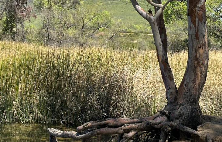 Don't know about you ... but ill be reading a great book right over here!