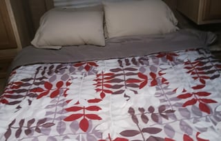 Bebe's RV sleeps 8, take her on your next trip!