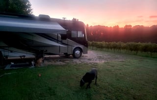 Baloo and Baxter's RV Getaway