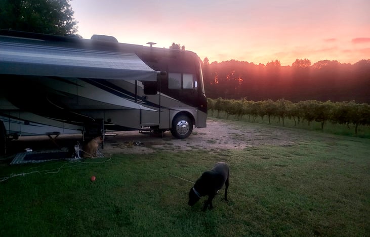 Boondocking at Boutier Winery Danielsville, Georgia is very easy to do.