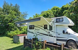 Bubbles Forest River Solera C class