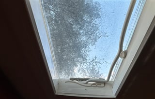 Melissa’s Shasta Airflyte 12ft Retro Can Ham