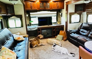 Relax in Luxury Pet friendly Keystone Montana