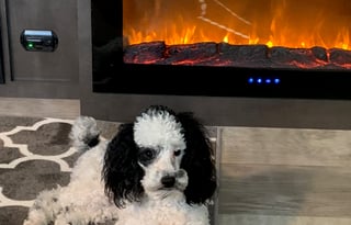 Maggie - Where everyone fits around the campfire