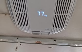 The Bear Necessities