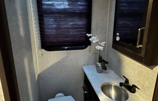 Estrella Rodante Sashums Dreams