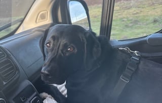 Matilda