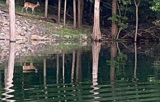 2019 Starcraft Launch Outfitter 27BHU