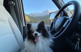 2021 Deluxe Sunseeker (Easy to Drive)