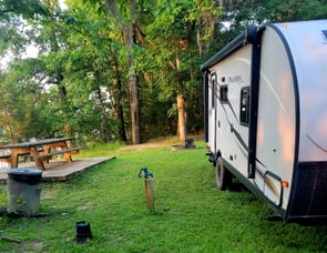 Palomino PaloMini 181FBS