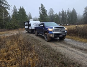 Forest River RV Cherokee Wolf Pup 16BHS