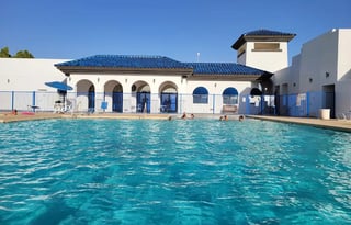 White Whale at the Lake