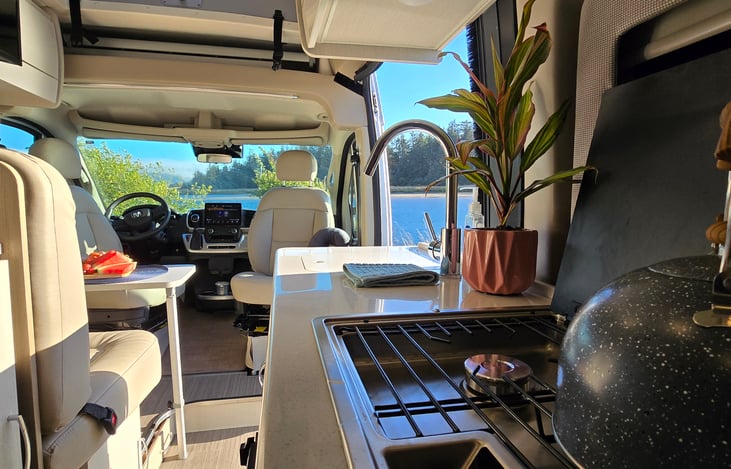 2 burner propane stove top.