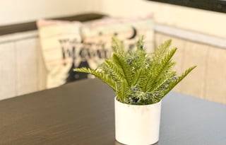 *BRAND NEW* Unlimited wifi* Dogs ok*