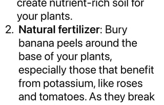2021 Keystone RV Carbon 338