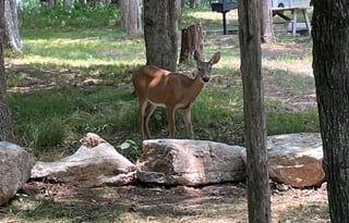 2022 Grand Design Transcend Xplor 265BH