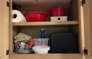 Your Home on Wheels! Furry friend approved!