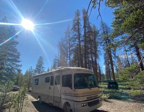 Fleetwood RV Bounder 30T