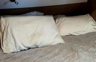 2023 Forest River Cherokee Grey Wolf  Black Label