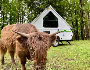 ALiner Scout Std. Model