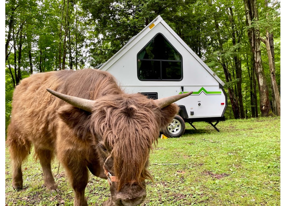Travel Trailer rentals in New Paltz
