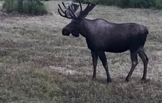 2013 Winnebago Chalet 31RJ