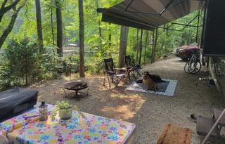 Baloo and Baxter's RV Getaway