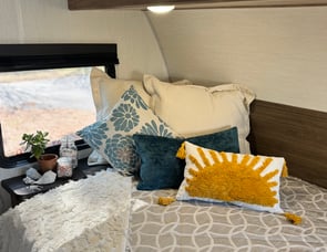 Cherokee Wolf Pup 17JW