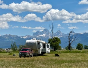 Northwood Arctic Silver Fox Edition 29-5T