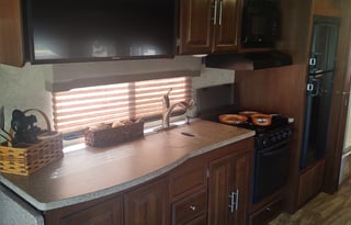 2016 Forest River RV Georgetown 310DS