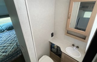 Roomy and sleek: 2020 Forest River RV R Pod RP-196