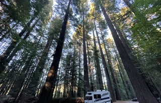 2020 Tiffin Wayfarer 19 tm 19' Great for 1st timer