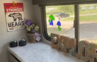 Emil and Della's Pet Friendly Posh Pad, #2