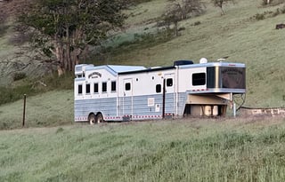 2009 Bloomer Bloomer The Evolution