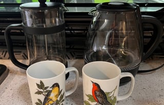 Josephine, the 2025 Heartland Pioneer 17bh