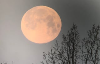 Smoky Terrace - near Waynesville entrance BRP