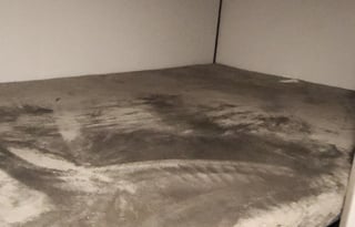 DELIVERY ONLY 2024 coleman LT274BH