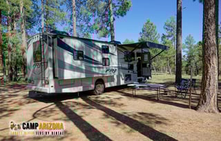 Forest River FR3 32DS Bunkhouse "Big Mama"!