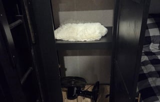 Beau Skye and Willow Dawn's Dog Friendly RV Rental