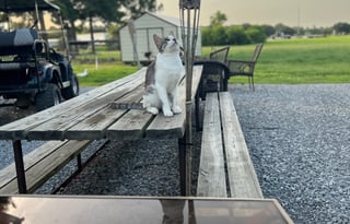 RV right off of I-10 with 6 Acre Pond