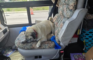 Big Booty Betty - Washer/Dryer - VERY HOT SHOWERS!