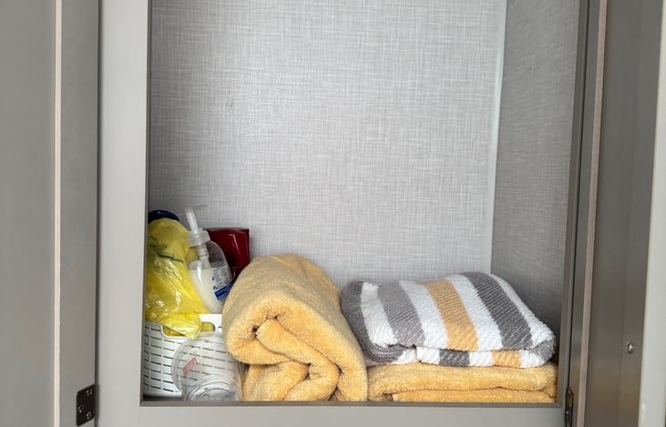 Bathroom storage