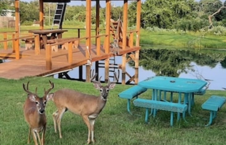 Enjoy sitting under covered dock or picnic table nearby and watching the wildlife stop by pond for a drink.  By the way! - Enjoy your favorite drink as well!