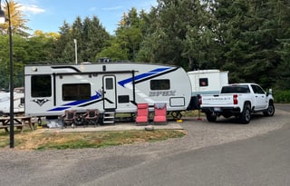 The D Fox- Big Comfort, Big Adventures!