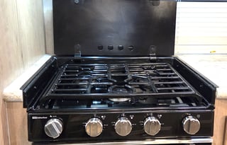 2020 Minnie Winnie Plus