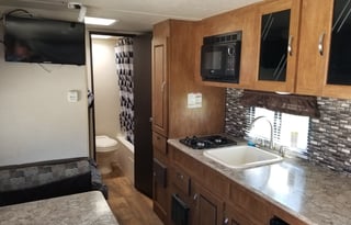 2017 Forest River Salem Cruise Lite 176BH