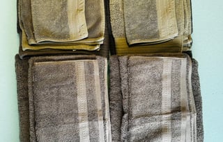 Clifford the Big Red Van