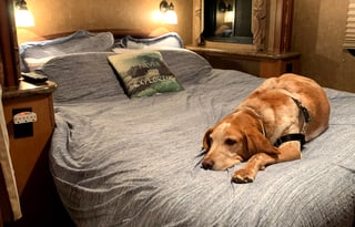 Beach House on Wheels