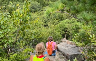 2017 Thor Motor Coach Four Winds 24C