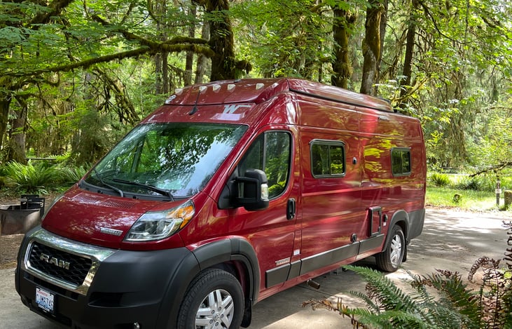 Clifford in the Rainforest on the Olympic Peninsula